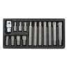 Sada bitů 15 ks RIBE box YATO YT-0419