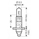 Autožárovka H1 12V 55W P14,5s