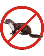 Odpuzovače hlodavců