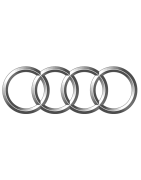 AUTOPOTAHY AUDI